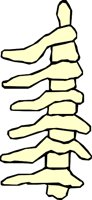 BONE_25.WMF