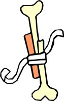 BONE_23.WMF