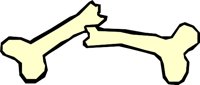 BONE_19.WMF