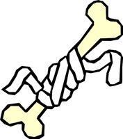 BONE_18.WMF