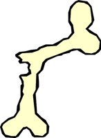 BONE_17.WMF