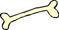 BONE_13.WMF