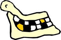 BONE_12.WMF