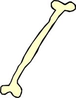 BONE_11.WMF