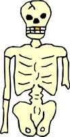 BONE_08.WMF