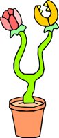 WILDLILY.WMF