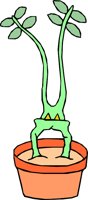 UP_ROOT.WMF