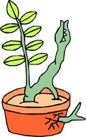 LEAFROOT.WMF