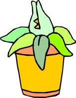 FERNBYTE.WMF