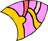 PSYC_33.WMF