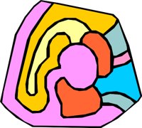 PSYC_25.WMF