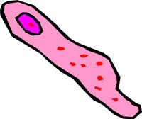 GERMS_10.WMF
