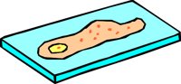 GERMS_09.WMF