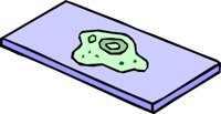 GERMS_05.WMF