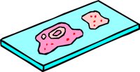 GERMS_04.WMF