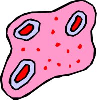 GERMS_01.WMF