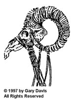 GDV575B.BMP