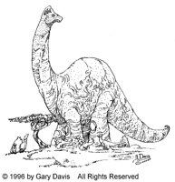 GDV361B.BMP