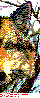 MOL073P.BMP