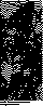 MOL067SC.BMP