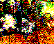 MOL034P.BMP