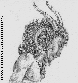 MOL026G.BMP