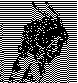 MOL025SC.BMP