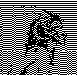 MOL023SC.BMP
