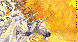 MOL009C.BMP