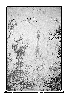 SB011G.BMP