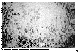 SB010G.BMP