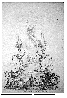 SB008G.BMP