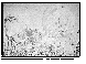 SB007G.BMP