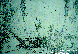 SB005C.BMP