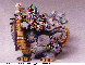 RGN-026C.BMP