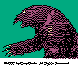 GDV619Z.BMP