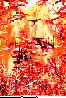 DDA-009C.BMP