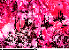 DDA-008C.BMP