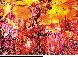 DDA-007C.BMP