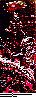 WRW-028C.BMP