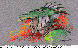 MOL-015C.BMP