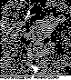 GBR133B.BMP