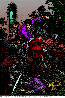 SEF-075Z.BMP