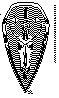KEV-028B.BMP