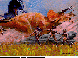 JDN-012C.BMP