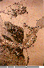 BHB-003C.BMP