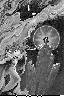 SEF-033G.BMP