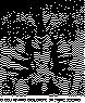 JLQ013SC.BMP