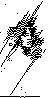 JAE-051B.BMP