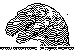 GDV589B.BMP